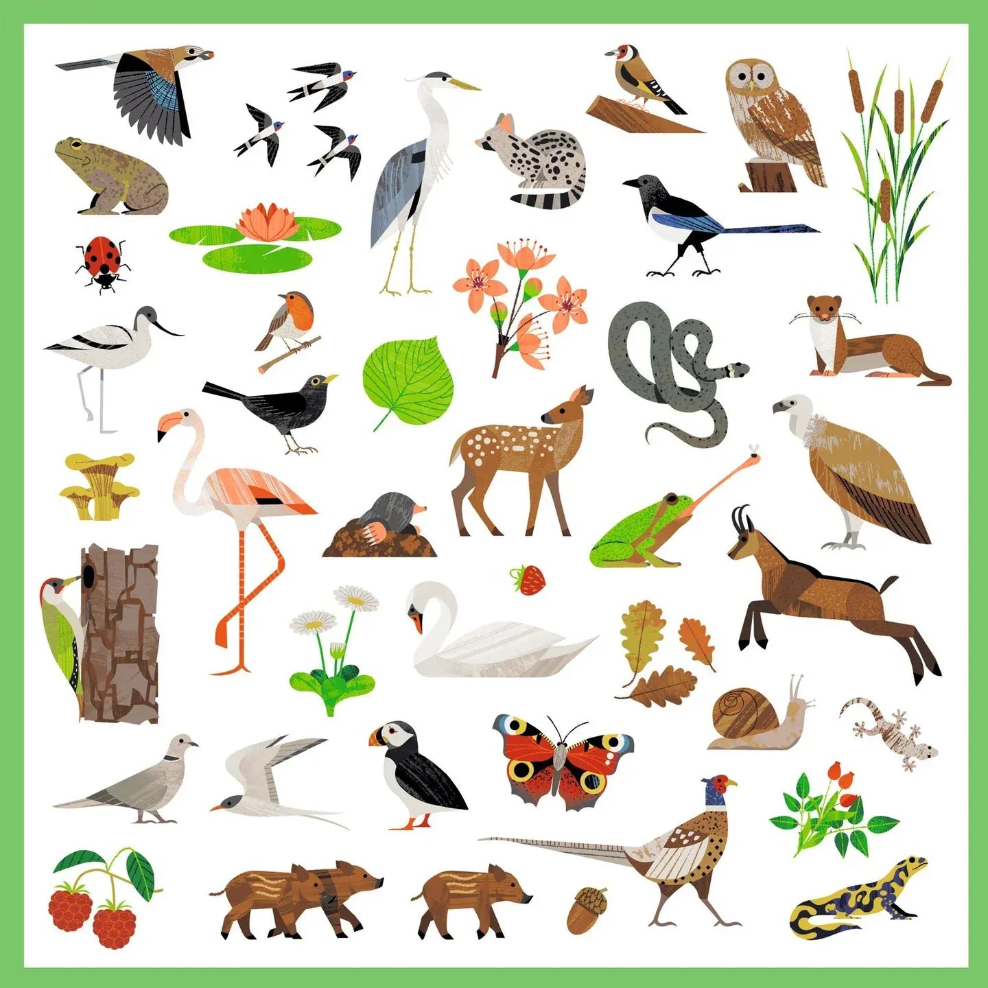 Fauna Sticker Sheets Djeco Lil Tulips