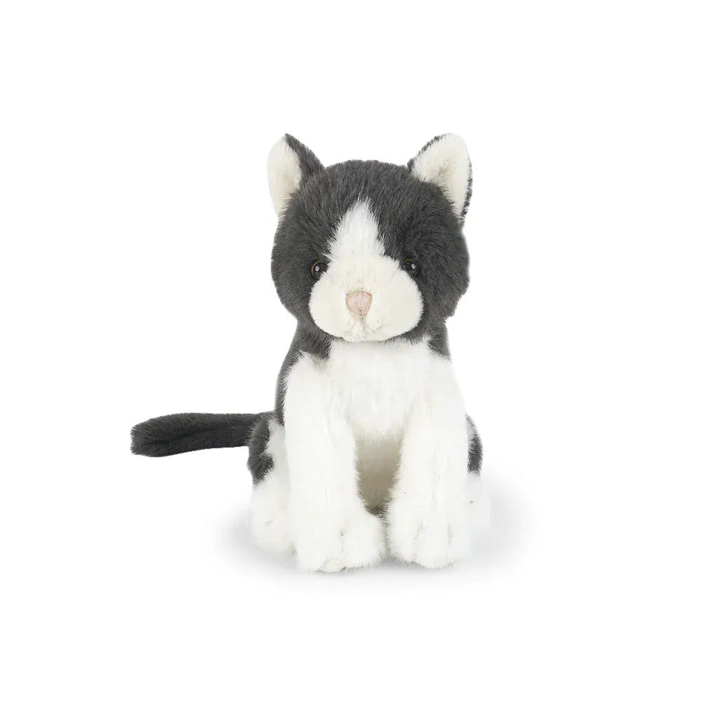 Felix Cat MON AMI Lil Tulips
