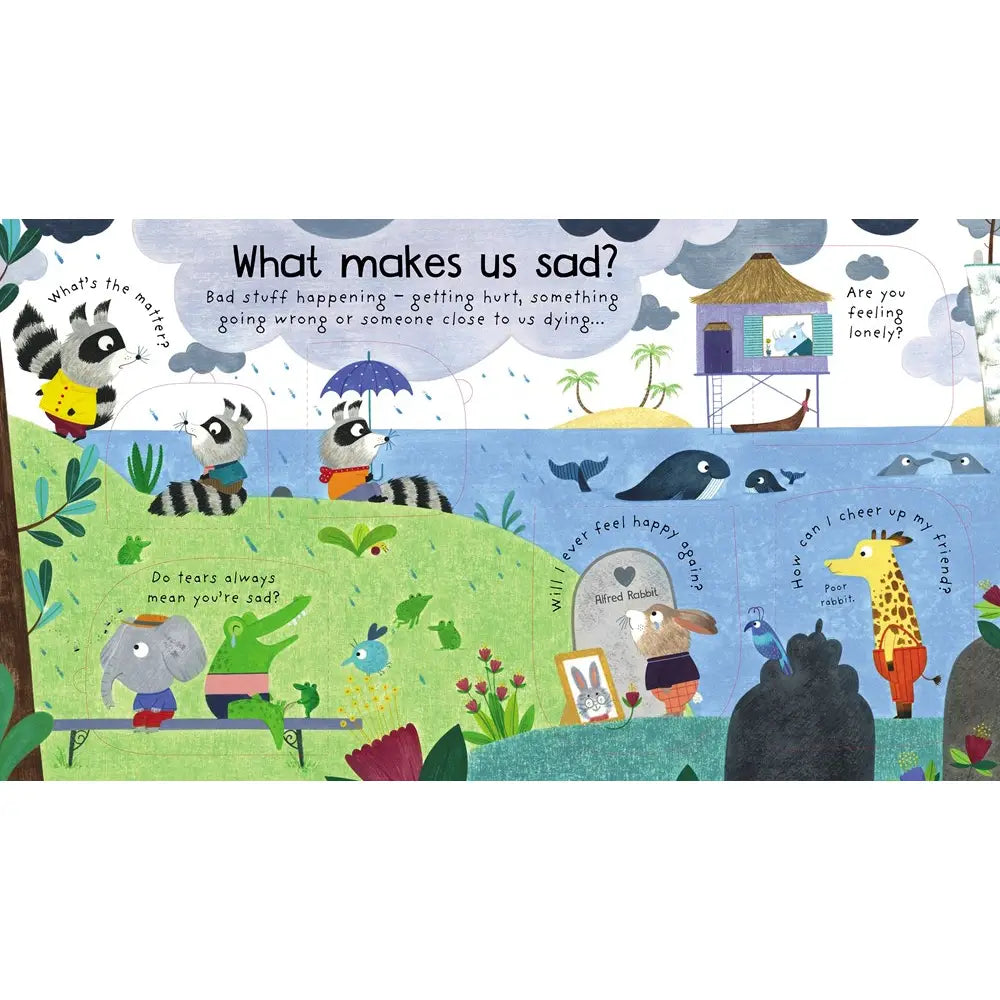 First Questions and Answers: What Are Feelings? Harper Collins Childrens Lil Tulips
