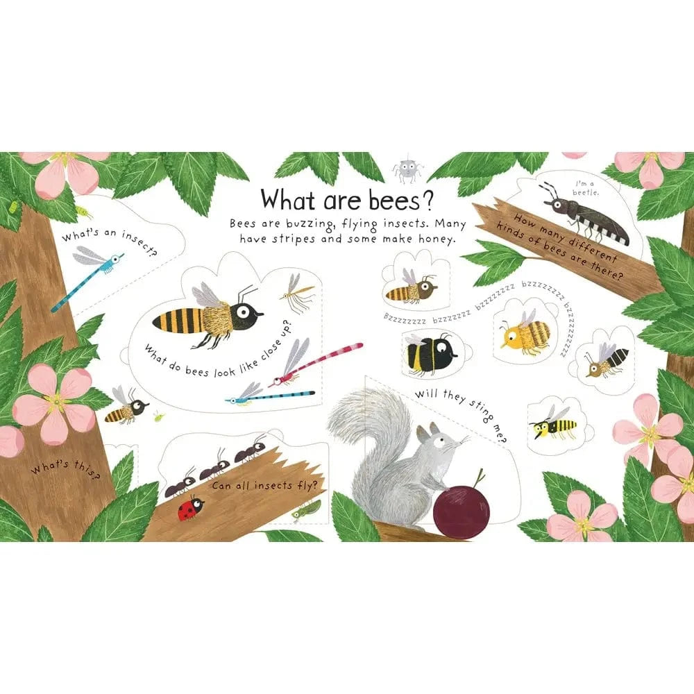 First Questions and Answers: Why do we need bees? Harper Collins Childrens Lil Tulips