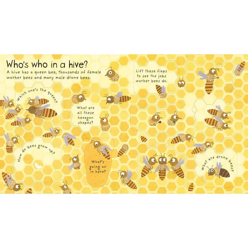 First Questions and Answers: Why do we need bees? Harper Collins Childrens Lil Tulips