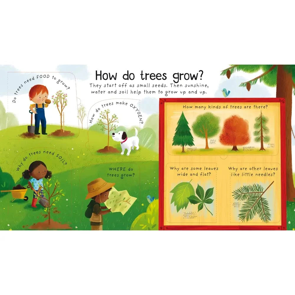 First Questions and Answers: Why do we need trees? Harper Collins Childrens Lil Tulips