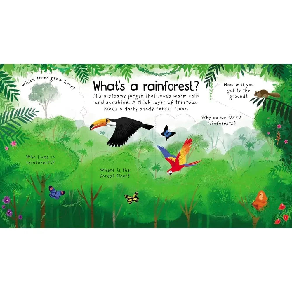 First Questions and Answers: Why do we need trees? Harper Collins Childrens Lil Tulips