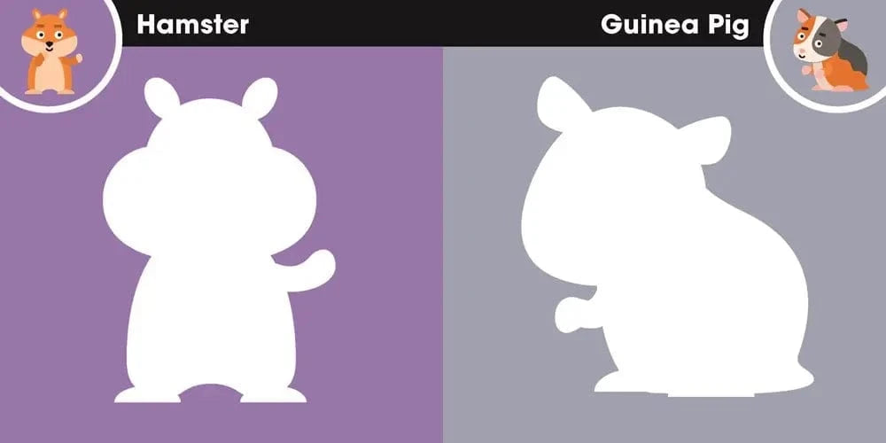 First Sticker Art: Cuddly Pets SourceBooks Lil Tulips