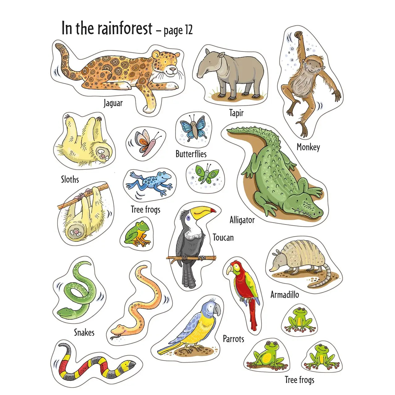 First Sticker Book Animals Harper Collins Childrens Lil Tulips