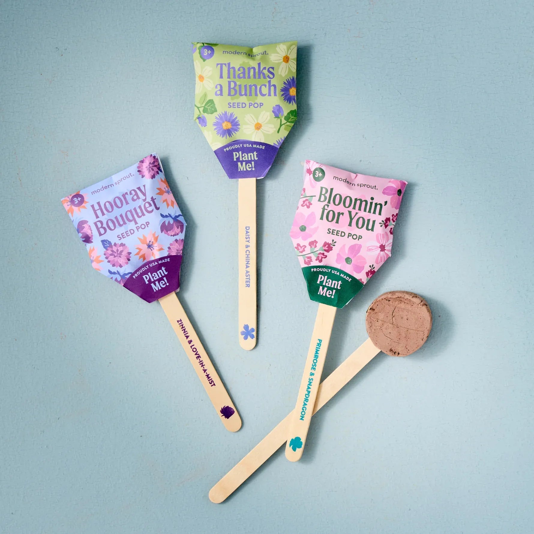 Flower Seed Pops - Choose Your Color Modern Sprout Lil Tulips