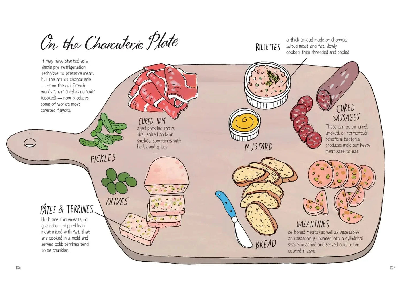 Food Anatomy Book Hachette Lil Tulips