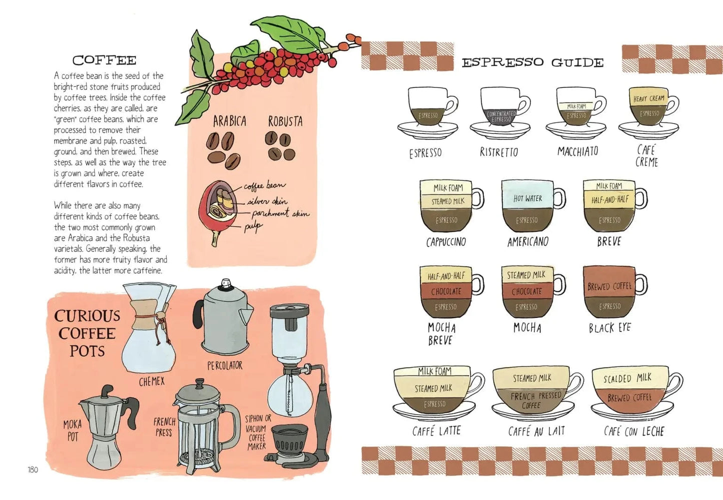 Food Anatomy Book Hachette Lil Tulips