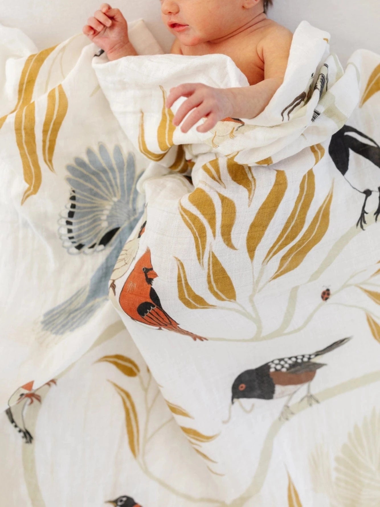 For the Birds Swaddle Clementine Kids Baby & Toddler Lil Tulips