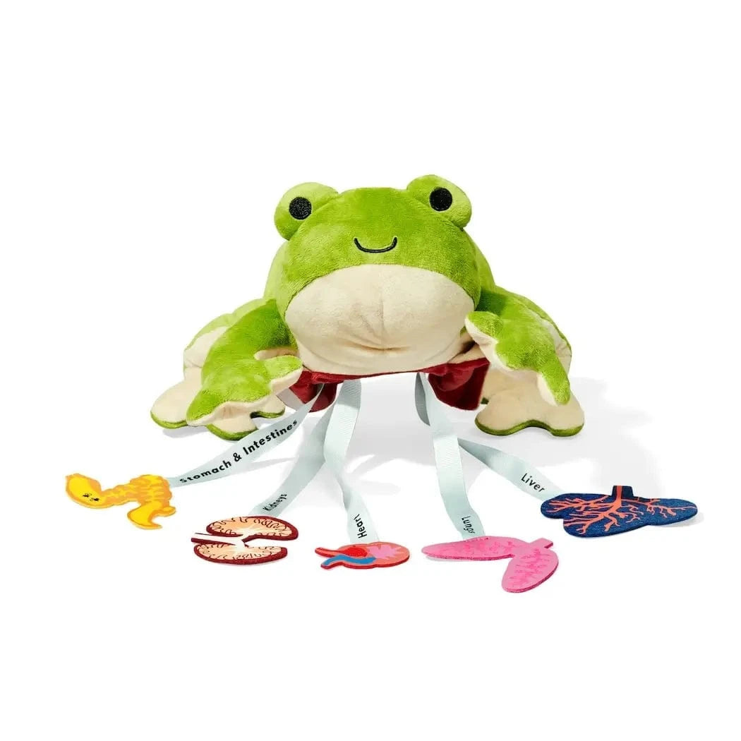 Froggie Dissection Lab, Anatomy Learning Toy For Kids KiwiCo, Inc. Lil Tulips