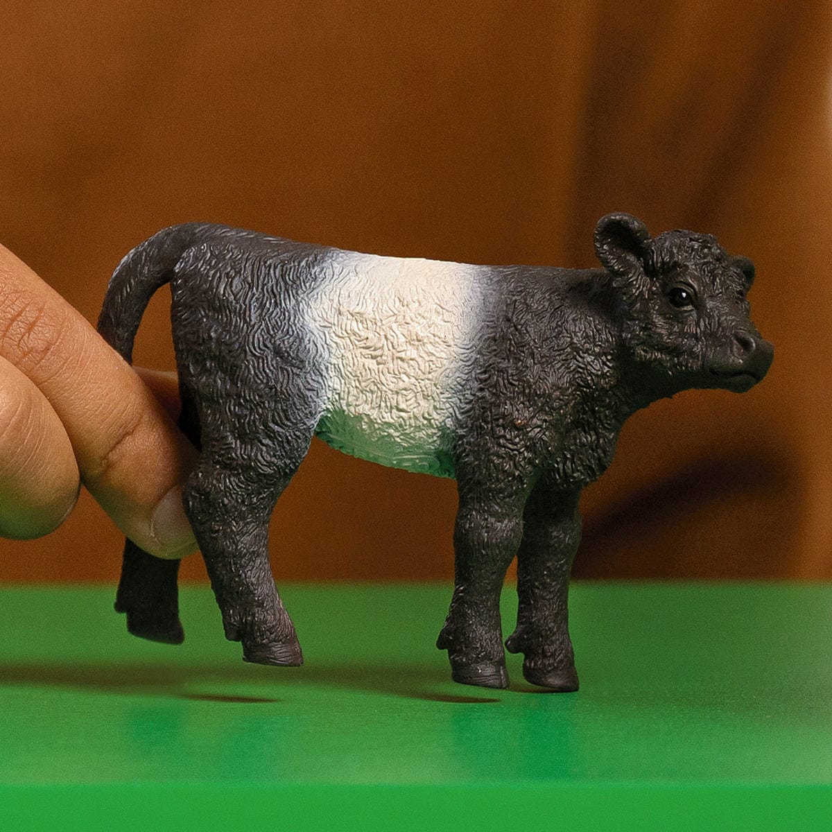 Galloway Calf Farm Animal Toy Schleich Lil Tulips