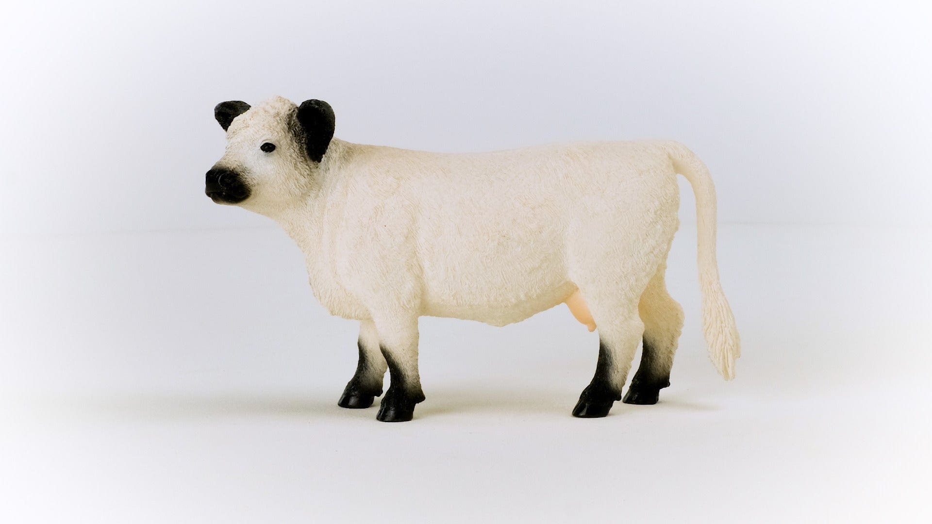 Galloway Cattle Farm Toy Schleich Lil Tulips