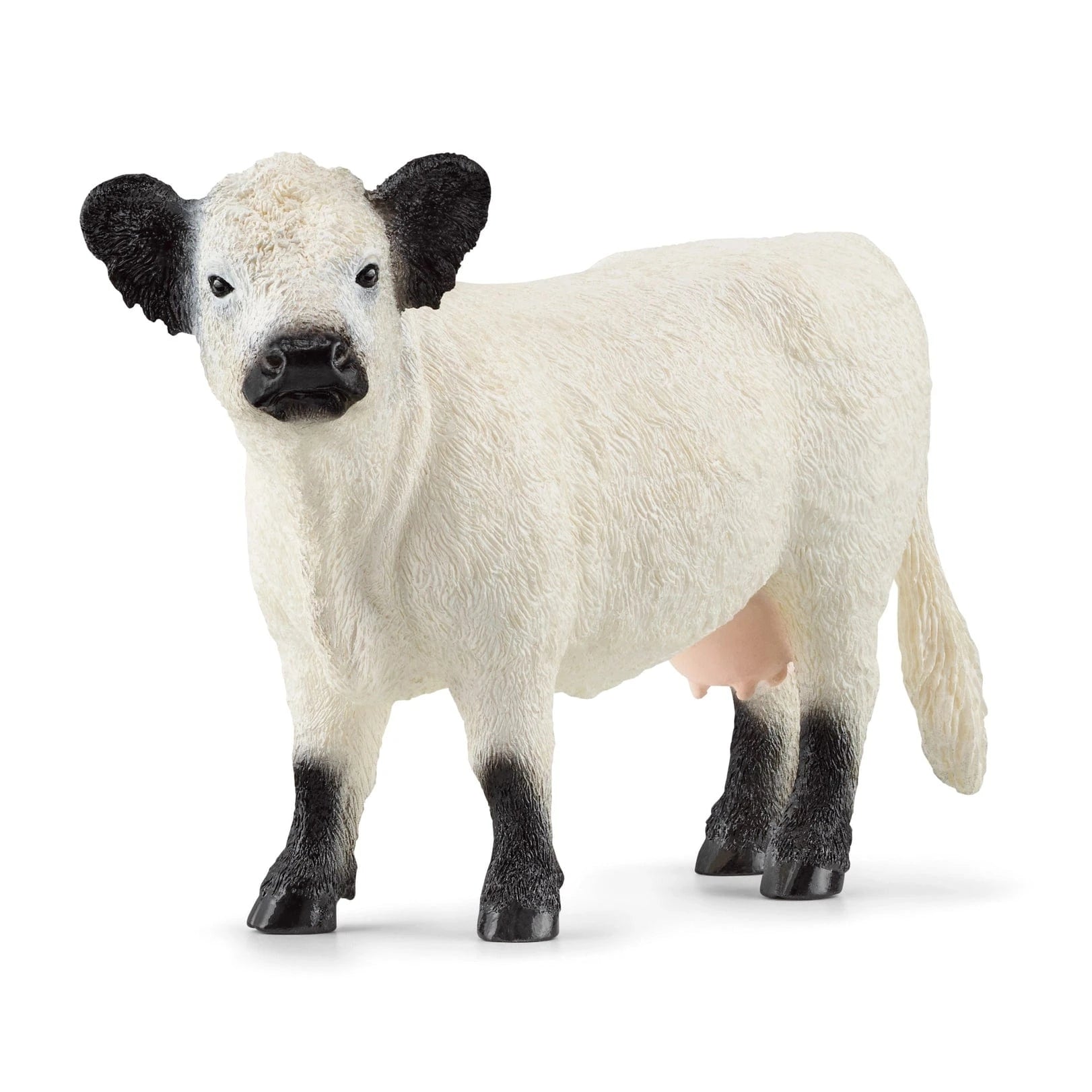 Galloway Cattle Farm Toy Schleich Lil Tulips