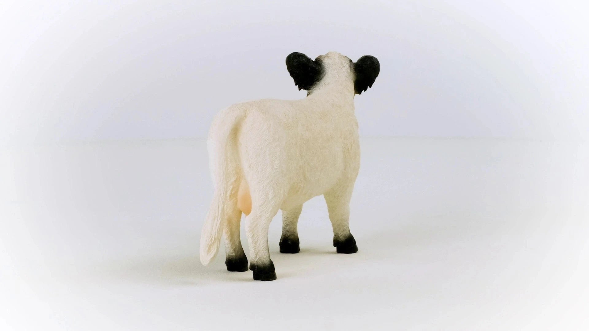 Galloway Cattle Farm Toy Schleich Lil Tulips