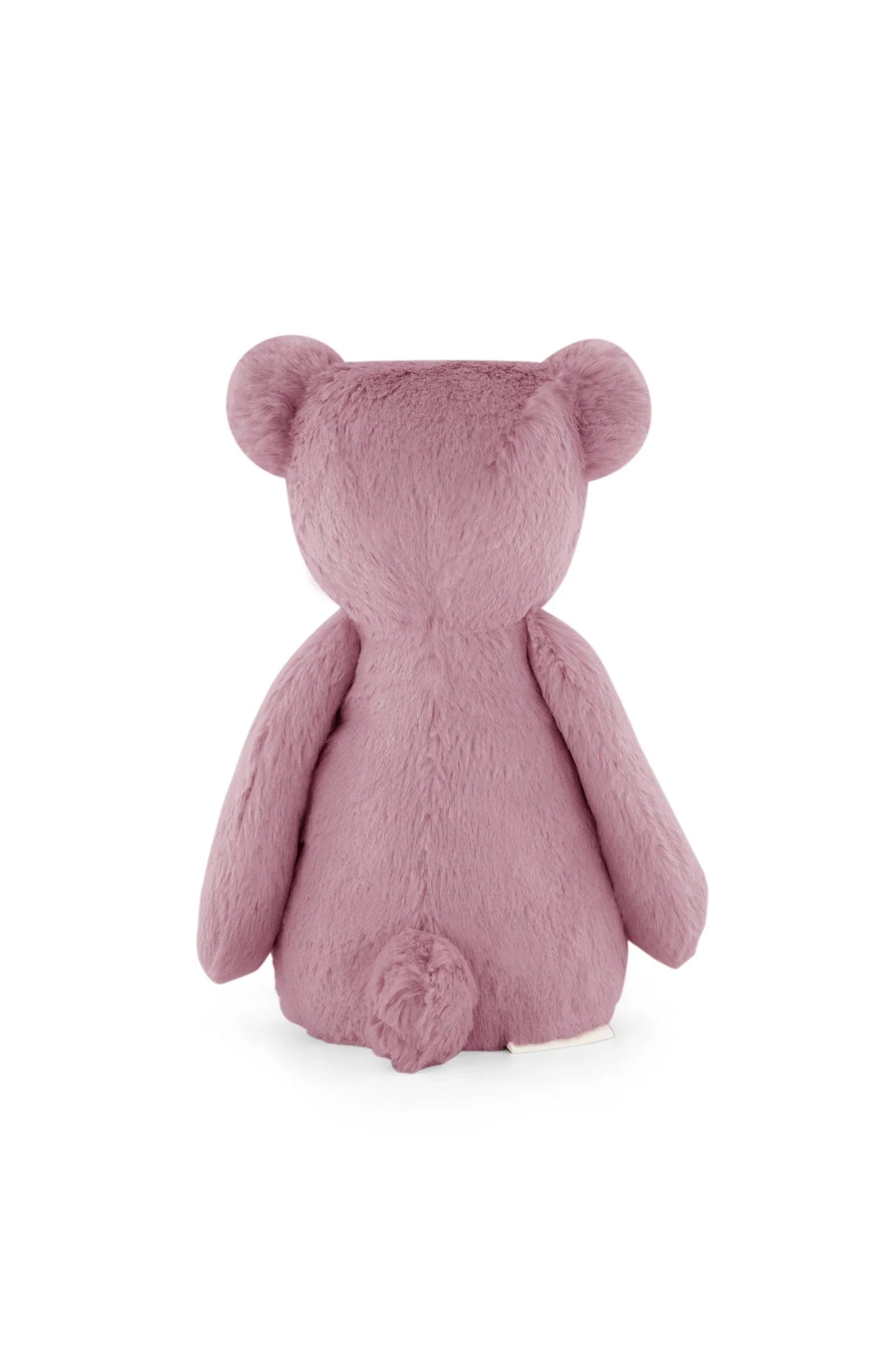 George the Bear - Lilium 30cm Snuggle Bunnies Lil Tulips