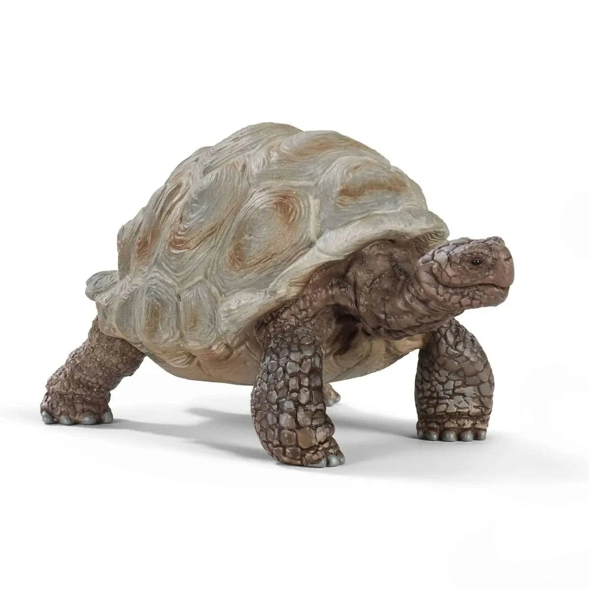 Giant Tortoise Animal Toy Schleich Lil Tulips