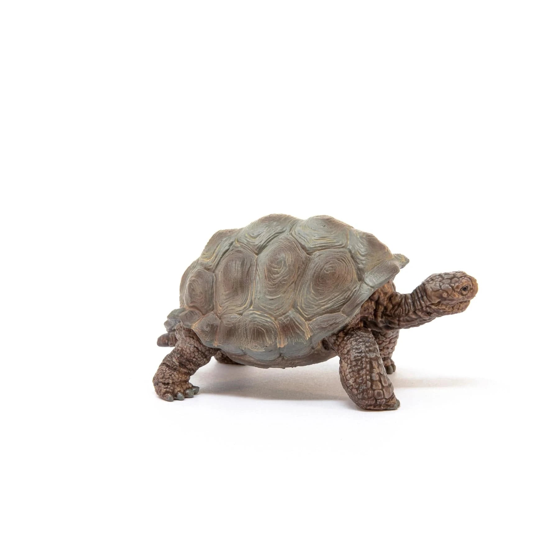 Giant Tortoise Animal Toy Schleich Lil Tulips