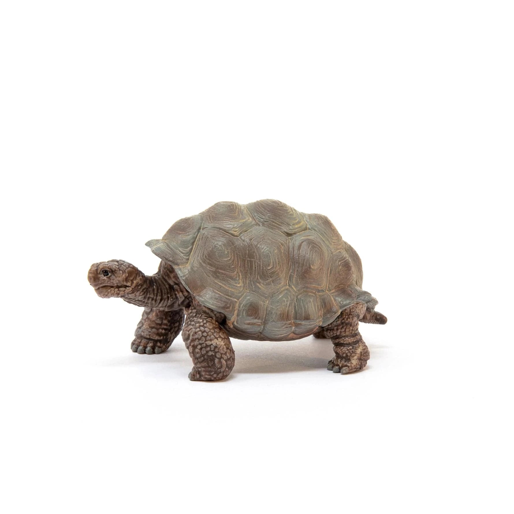 Giant Tortoise Animal Toy Schleich Lil Tulips