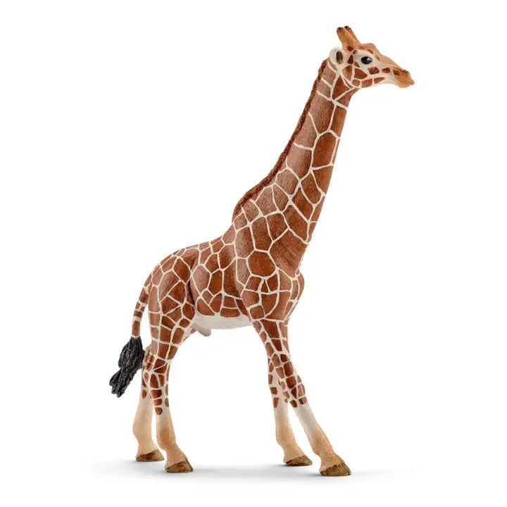 Giraffe Male Safari Animal Toy Schleich Lil Tulips
