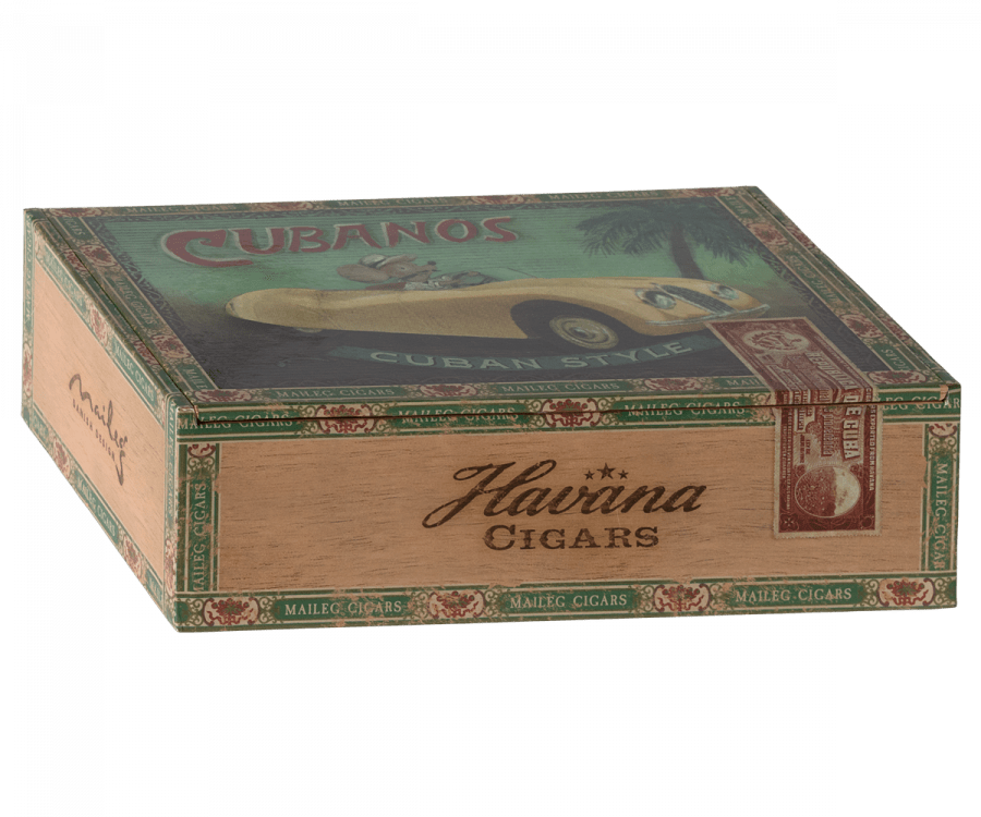 Grandma & Grandpa Mice in Cigarbox Maileg Lil Tulips