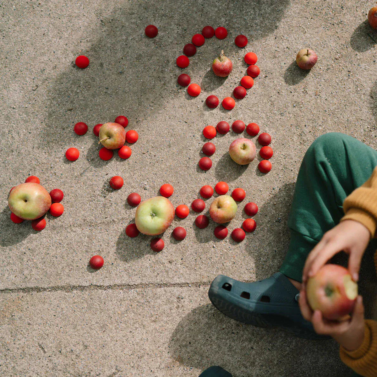 Grapat Mandala Half Spheres Grapat Lil Tulips