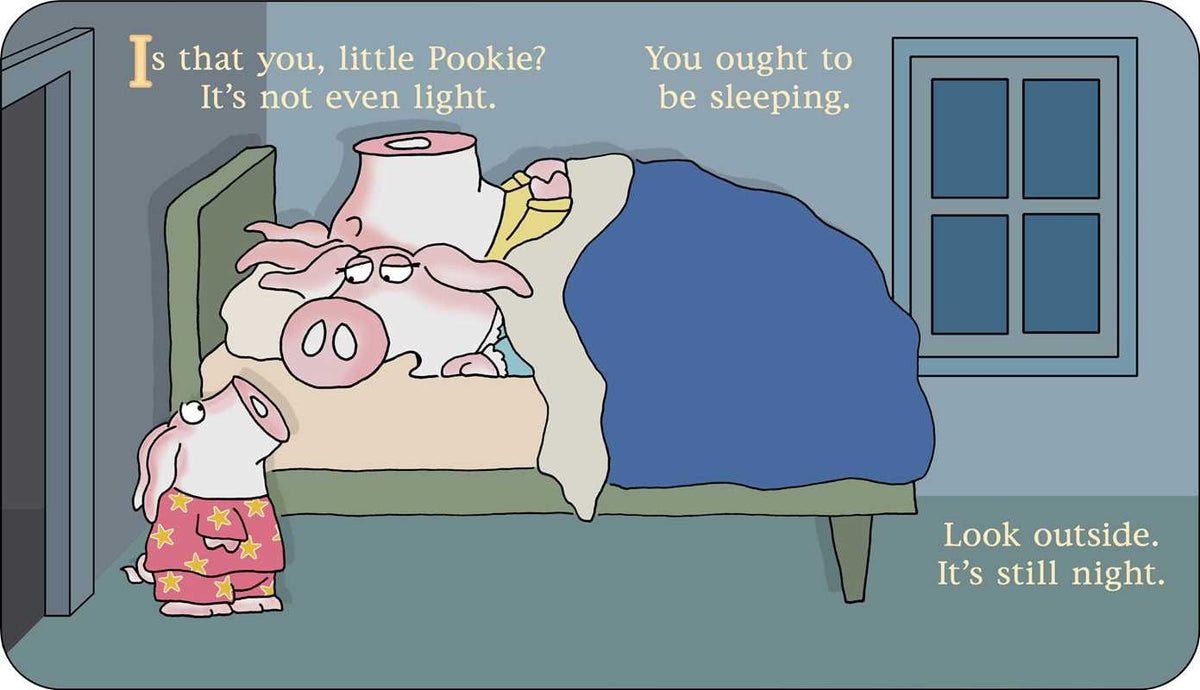 Happy Birthday Little Pookie - Board Book Sandra Boynton Books Lil Tulips