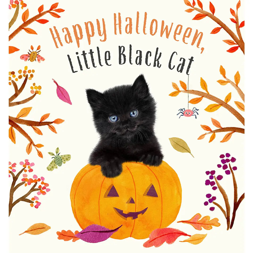 Happy Halloween, Little Black Cat: A Board Book Abrams Lil Tulips