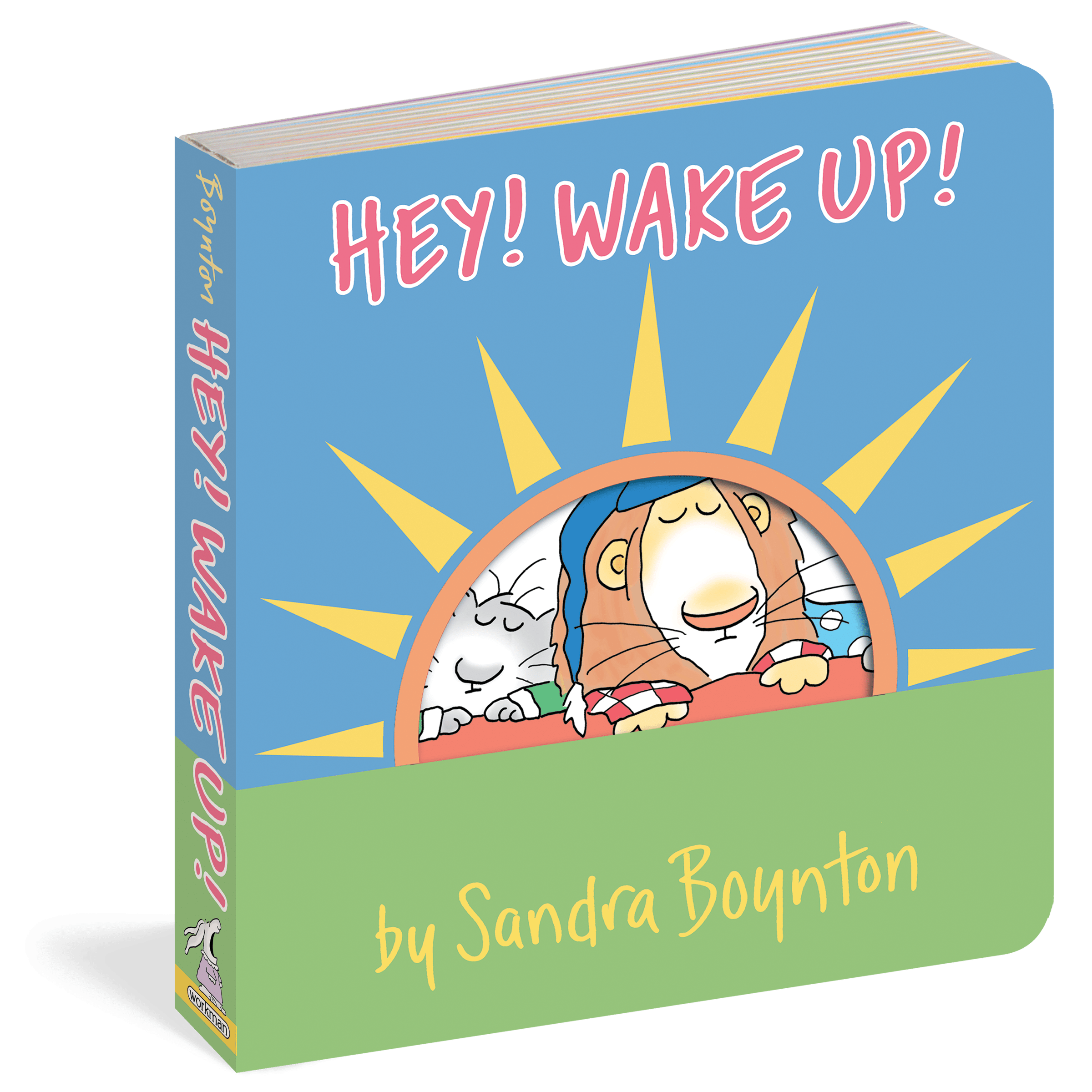 Hey! Wake Up! Sandra Boynton Books Lil Tulips