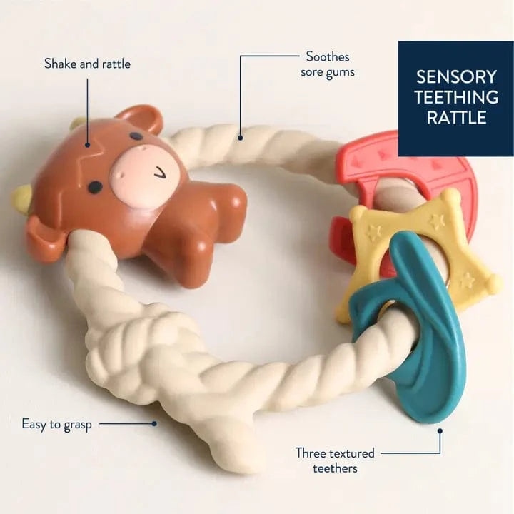 Highland Cattle Ritzy Rattle™ Silicone Teether Rattle Itzy Ritzy Pacifiers & Teethers Lil Tulips