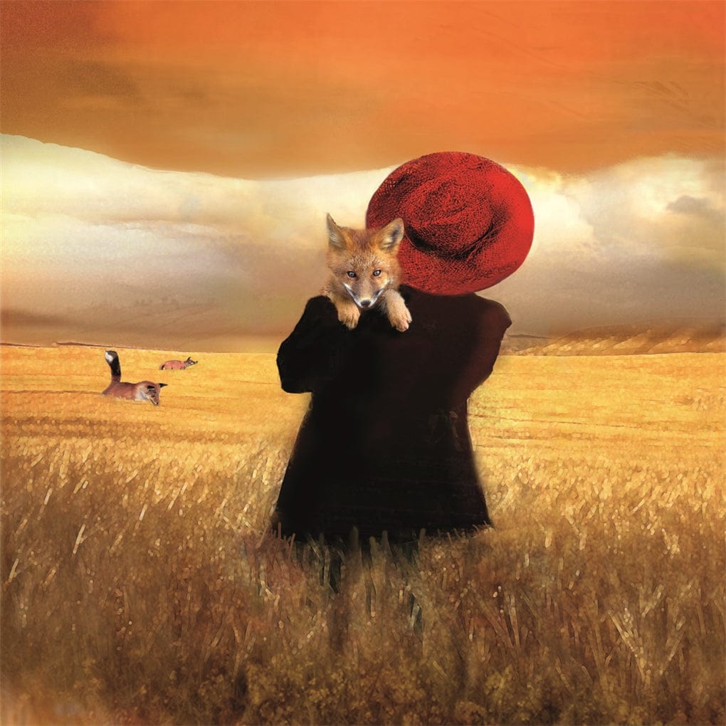 I'd Know You Anywhere, My Love Board Book Macmillan Publishers Lil Tulips