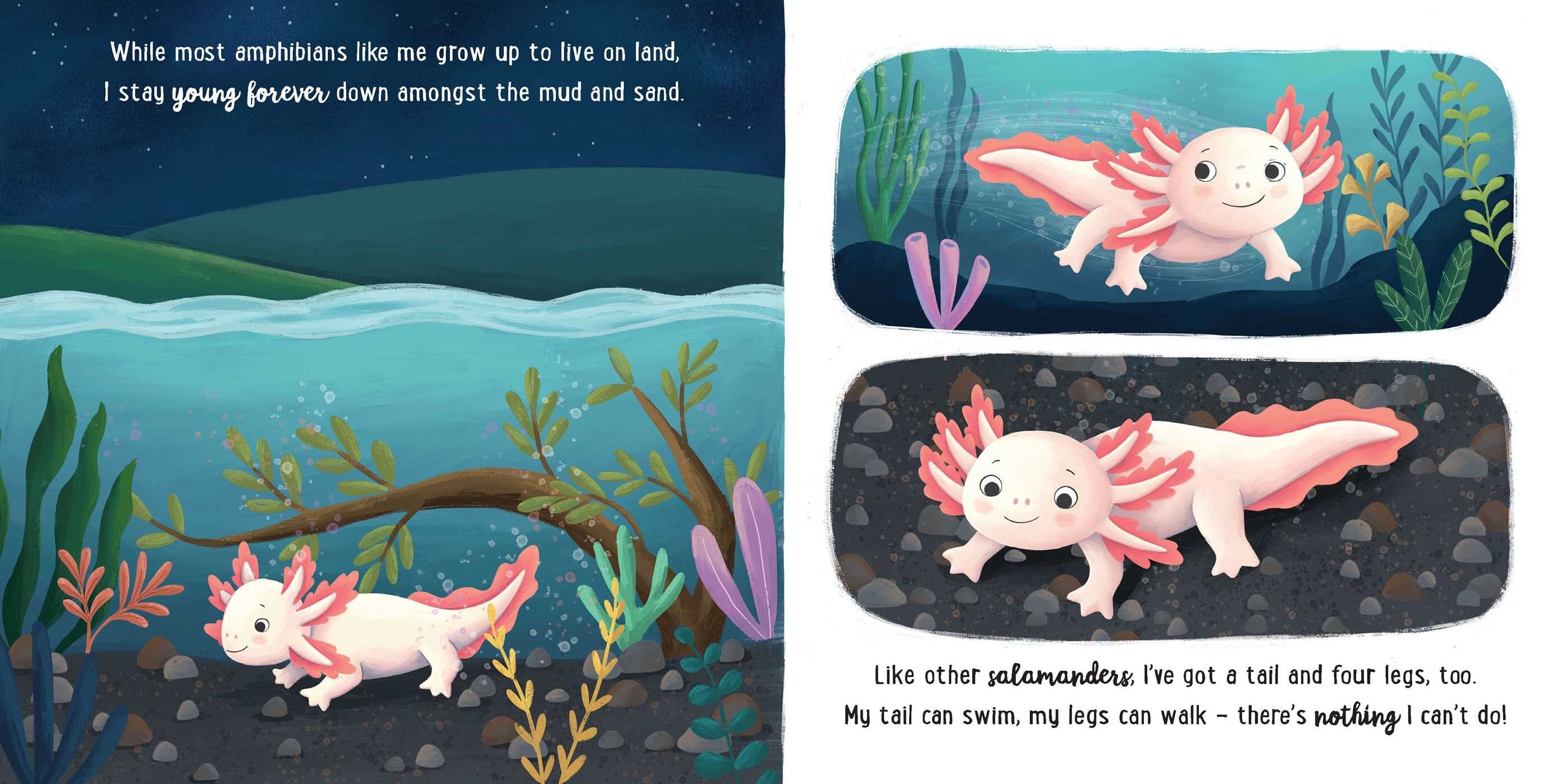 I Love Being An Axolotl: Padded Board Book Simon & Schuster Lil Tulips