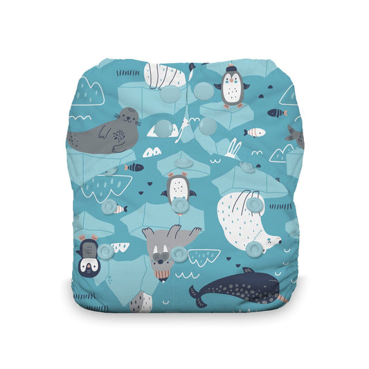 Ice Flow Snap One Size All In One Diaper Thirsties Lil Tulips