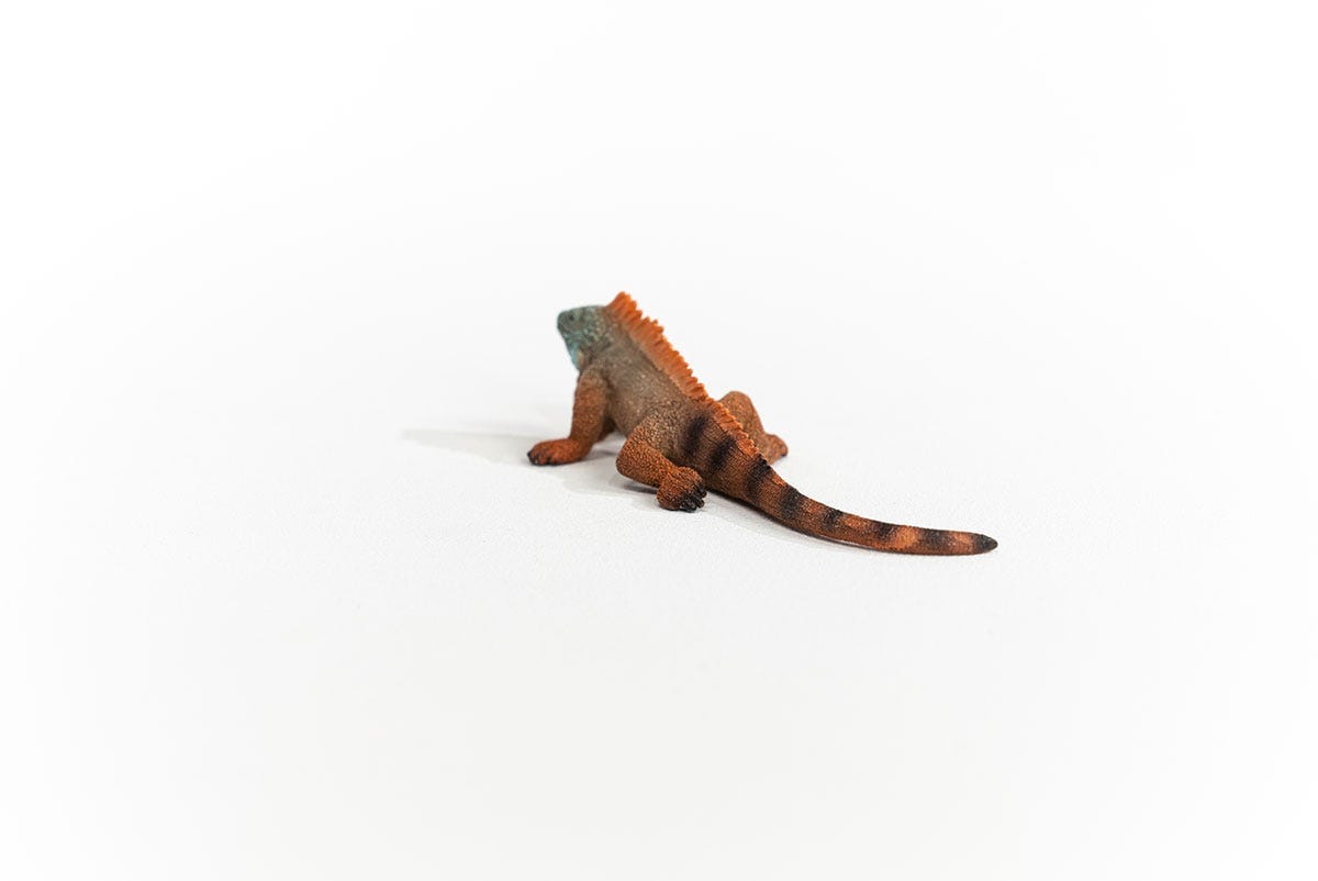 Iguana Animal Toy Schleich Lil Tulips