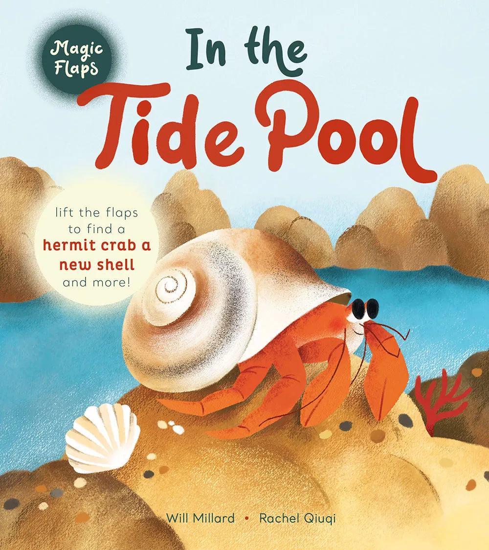 In the Tide Pool: A Magic Flaps Book Abrams Lil Tulips
