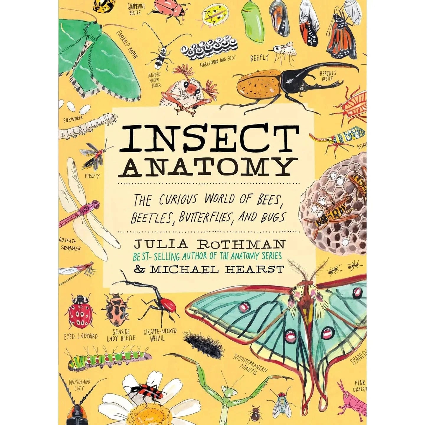 Insect Anatomy Hachette Lil Tulips