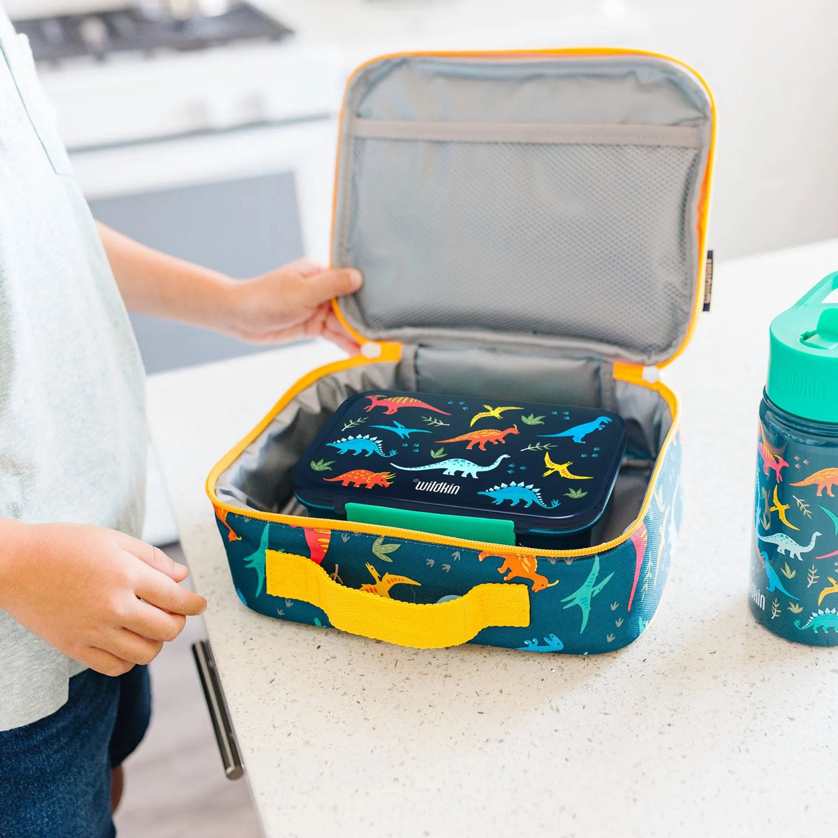 Jurassic Dinosaurs Reusable Food Container Bento Box Wildkin Lil Tulips
