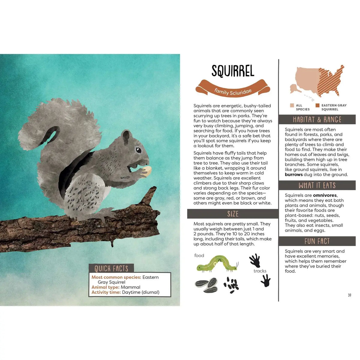 A Kid's Guide to Backyard Animals publisher preview image 3