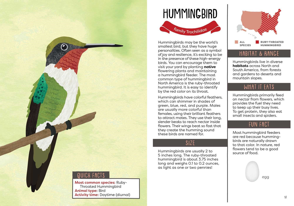 A Kid's Guide to Backyard Animals publisher preview image 2