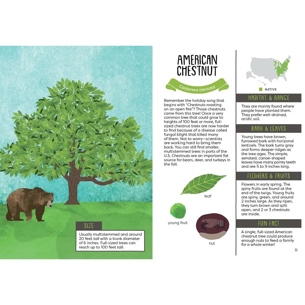 Kid’S Guide To Backyard Trees Gibbs-Smith Lil Tulips
