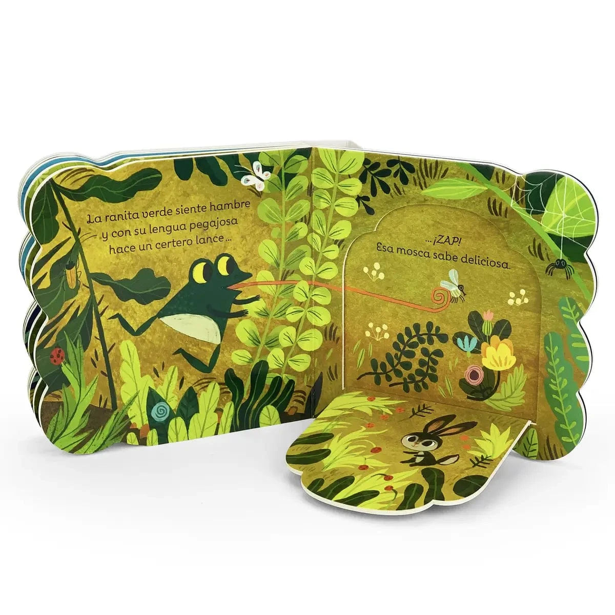 La Ranita Verde / Little Green Frog (Spanish Edition) Cottage Door Press Books Lil Tulips