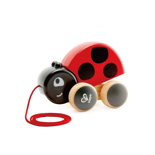 Ladybug Pull Along Hape Lil Tulips