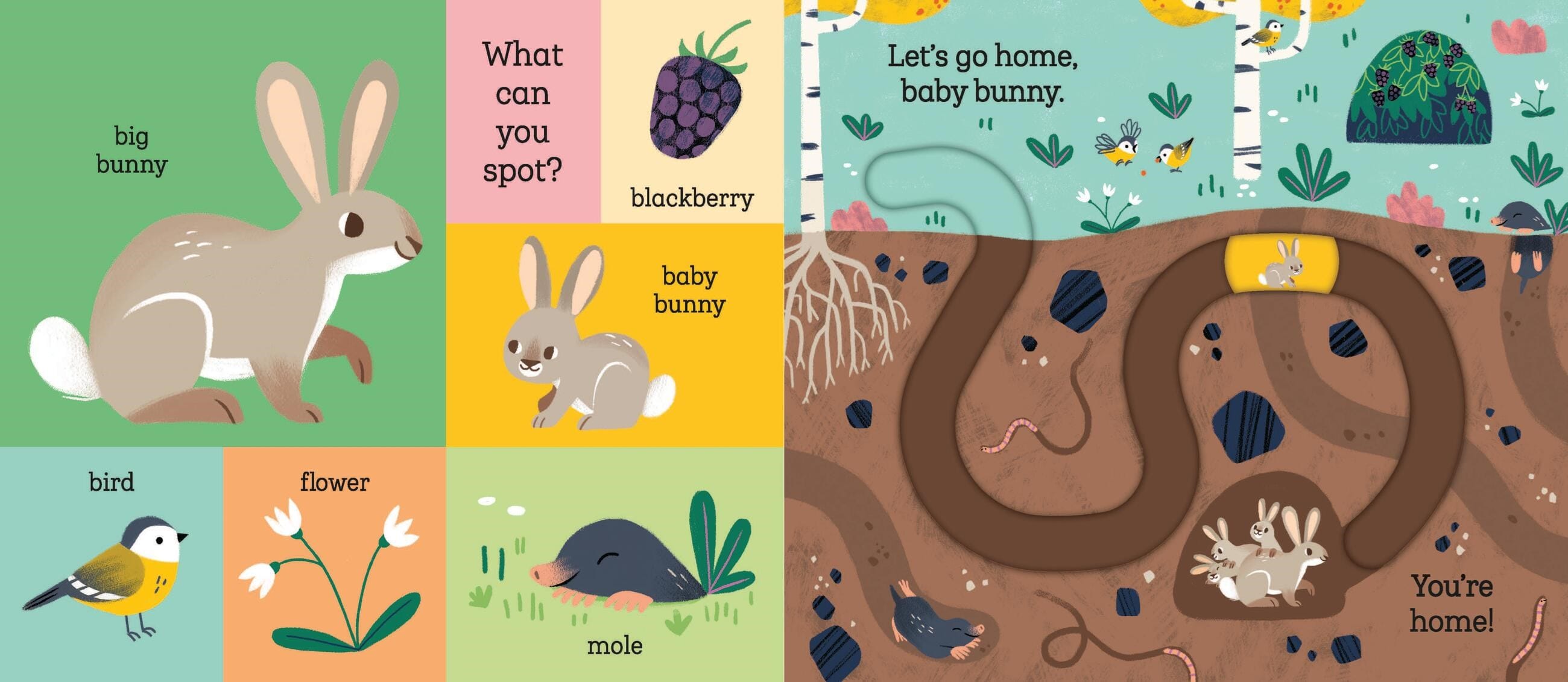 Let's Go Home, Baby Bunny Hachette Lil Tulips