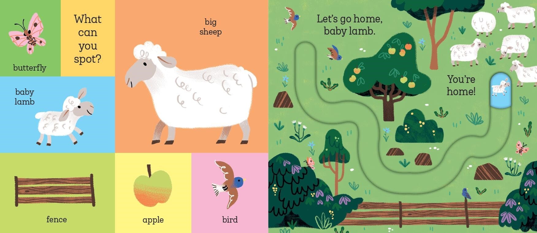 Let's Go Home, Baby Chick Hachette Lil Tulips