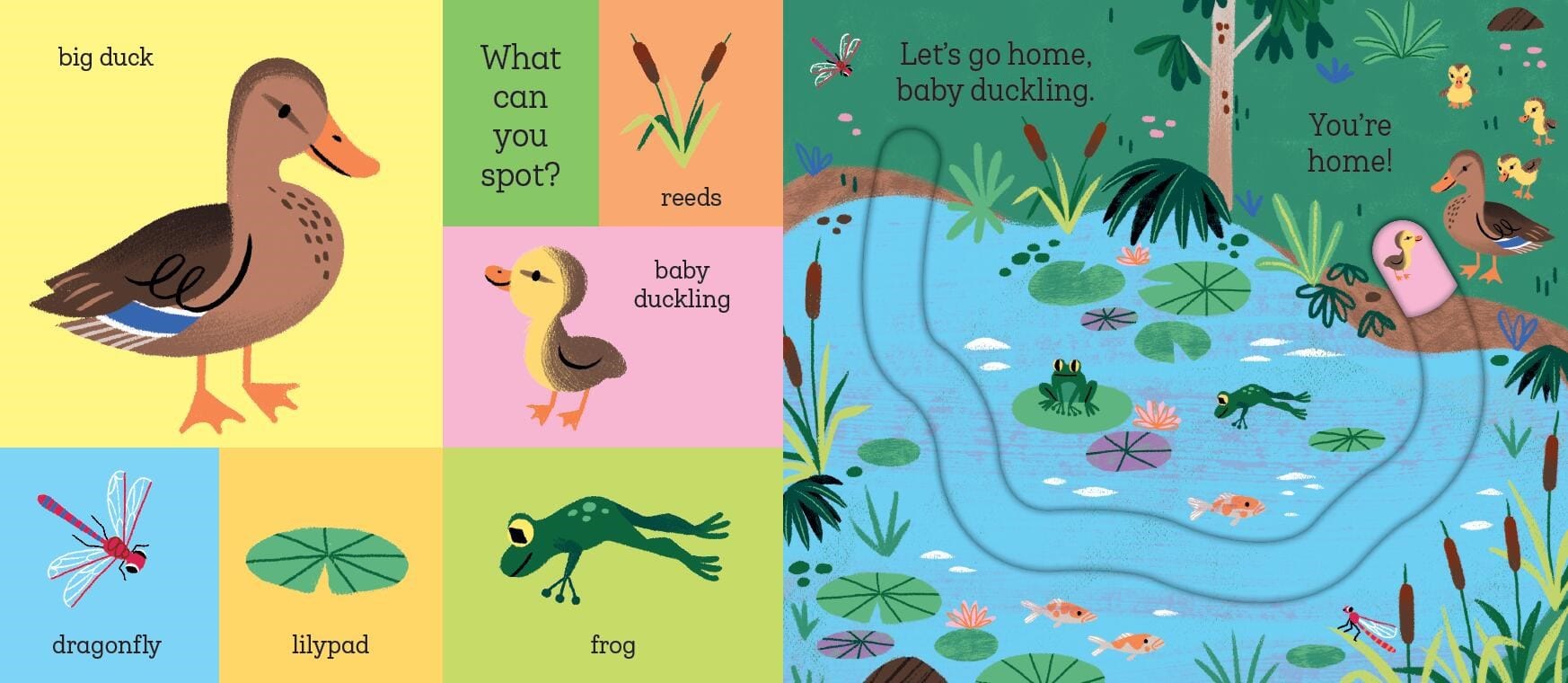 Let's Go Home, Baby Chick Hachette Lil Tulips