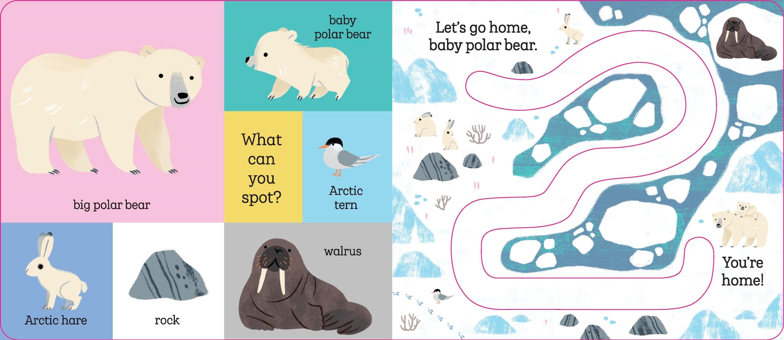 Let's Go Home, Baby Penguin Hachette Lil Tulips