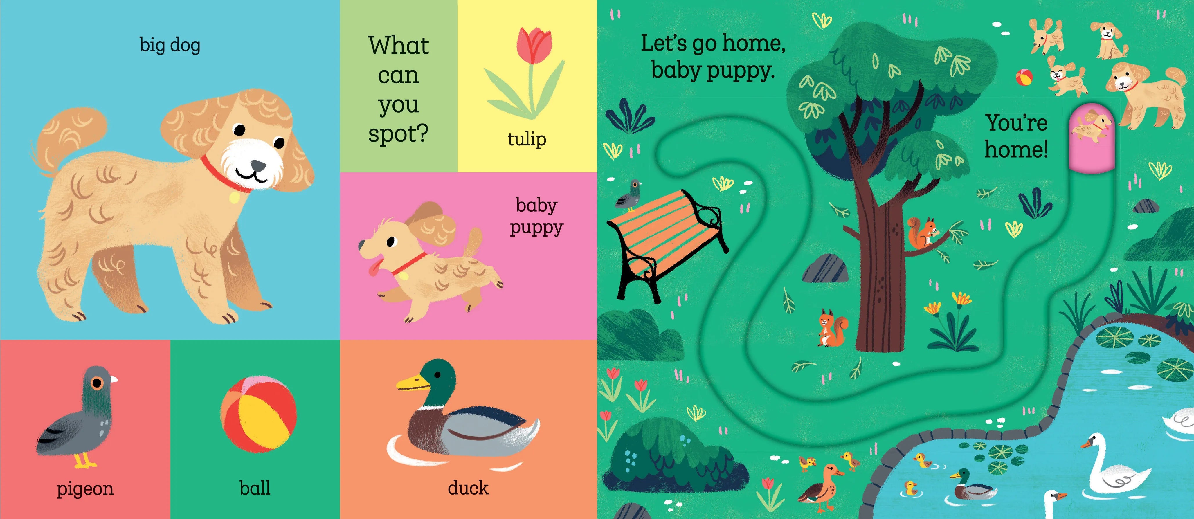 Let's Go Home, Baby Puppy Hachette Lil Tulips
