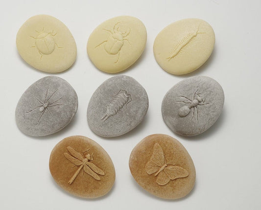 Let’s Investigate – Bugs Yellow Door US LLC Lil Tulips