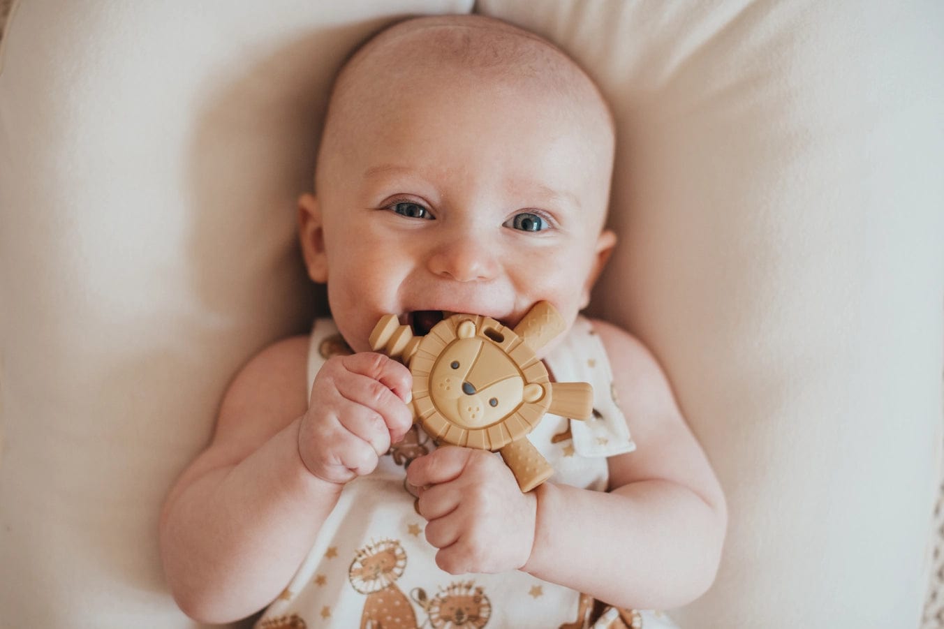 Lion Ritzy Teether™ Baby Molar Teether Itzy Ritzy Lil Tulips