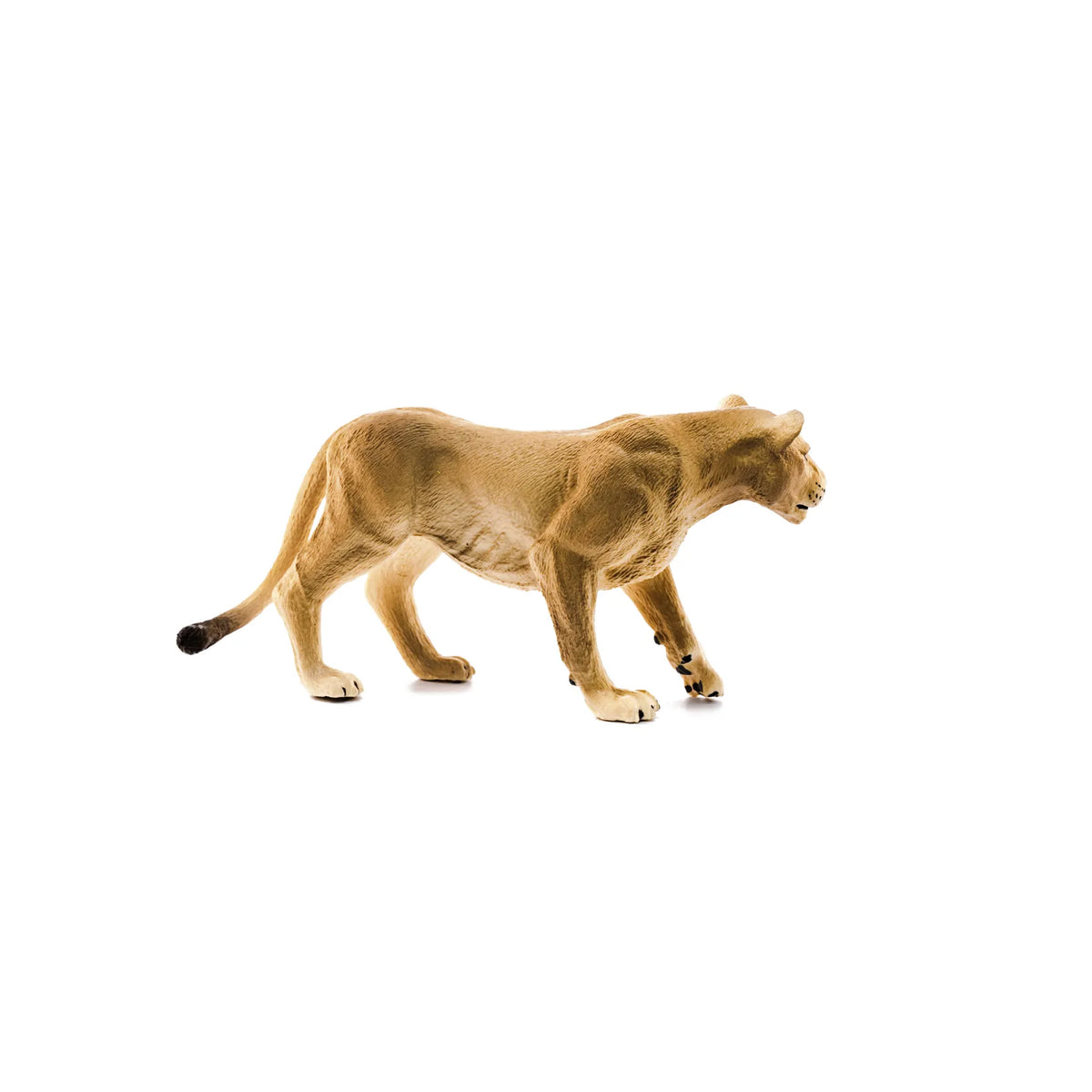 Lioness Safari Animal Toy Schleich Lil Tulips