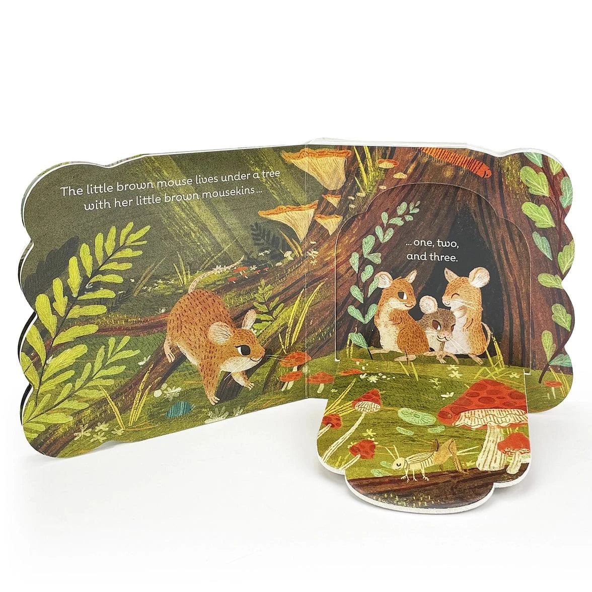 Little Brown Mouse Cottage Door Press Books Lil Tulips